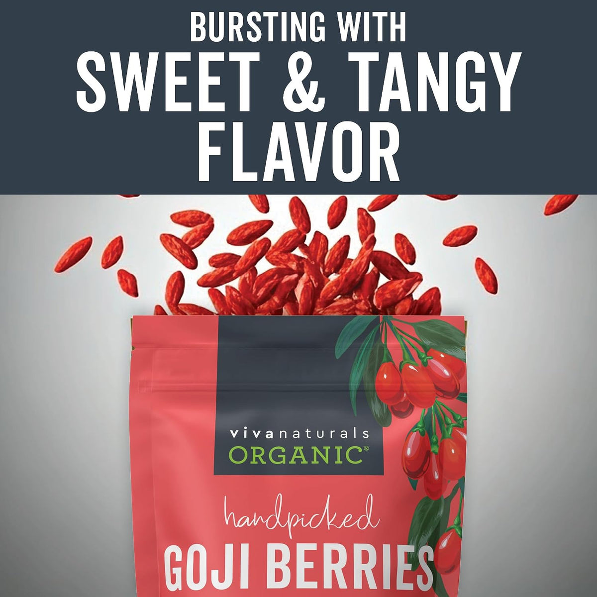 Viva Naturals Organic Dried Goji Berries, 1 lb (454 g) – Non-GMO, Vegan Wolfberries, Perfect for Goji Berry Tea, Smoothies, Baking & Snacking
