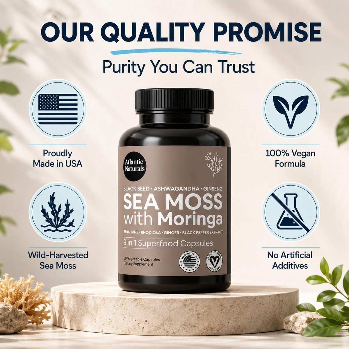 Sea Moss Capsules – Irish Sea Moss with Black Seed Oil, Ashwagandha, Moringa, Ginseng & Ginger for Energy, Vitality & Wellness – Seamoss Nutritional Supplement – Made in USA – 60 Capsules