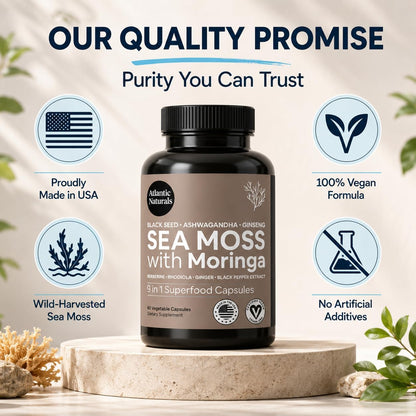 Sea Moss Capsules – Irish Sea Moss with Black Seed Oil, Ashwagandha, Moringa, Ginseng & Ginger for Energy, Vitality & Wellness – Seamoss Nutritional Supplement – Made in USA – 60 Capsules