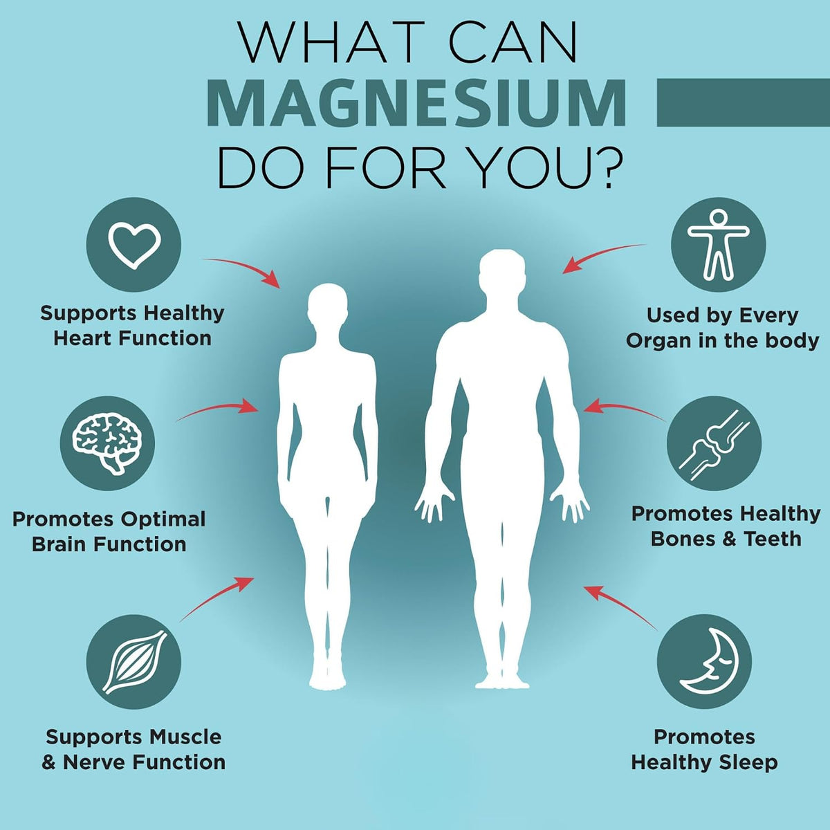 OmniBiotics Ultimate Daily Multivitamin + Magnesium Glycinate