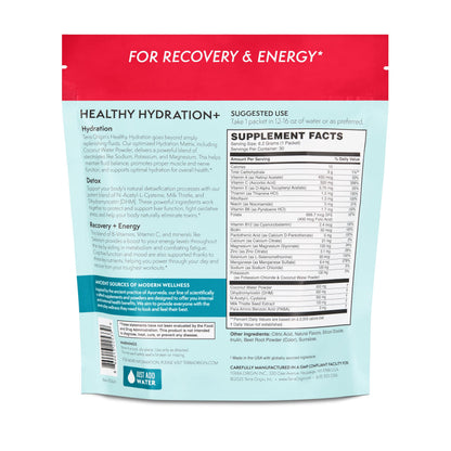 TERRA ORIGIN Healthy Hydration+ Electrolyte Powder Packets | Sugar Free, Gluten Free Drink Mix | Lemonade | 30 Servings (1-Pack)
