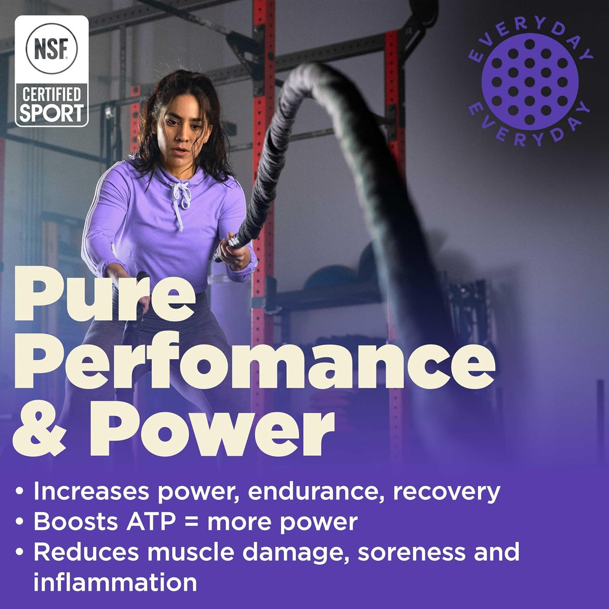 Gnarly Nutrition Creatine Powder, Unflavored (16.05oz) and Gnarly Whey Grass-Fed Protein Supplement, Chocolate (32.0oz)