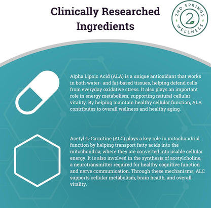 ALA & ALC Complex + 7 Mushroom Complex Bundle | Energy, Focus, Cognitive Support, Immunity, Metabolism & Daily Vitality
