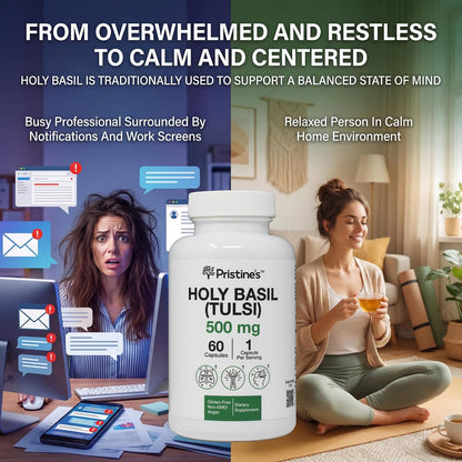 PRISTINE'S Holy Basil Tulsi 500mg Adaptogen Capsules, Vegan, 60 Day Supply | Calm and relaxation support in a simple Tulsi (holy basil) capsule routine. 60 day supply, vegan, non-GMO, gluten-free