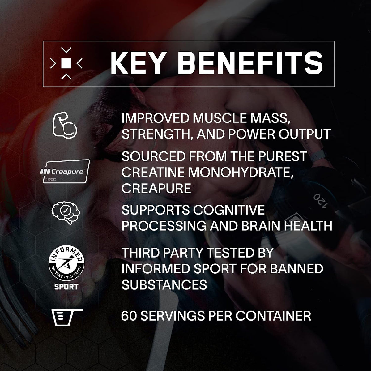 BARE PERFORMANCE NUTRITION BPN Whey Milk N' Cookies Protein + Creatine Bundle