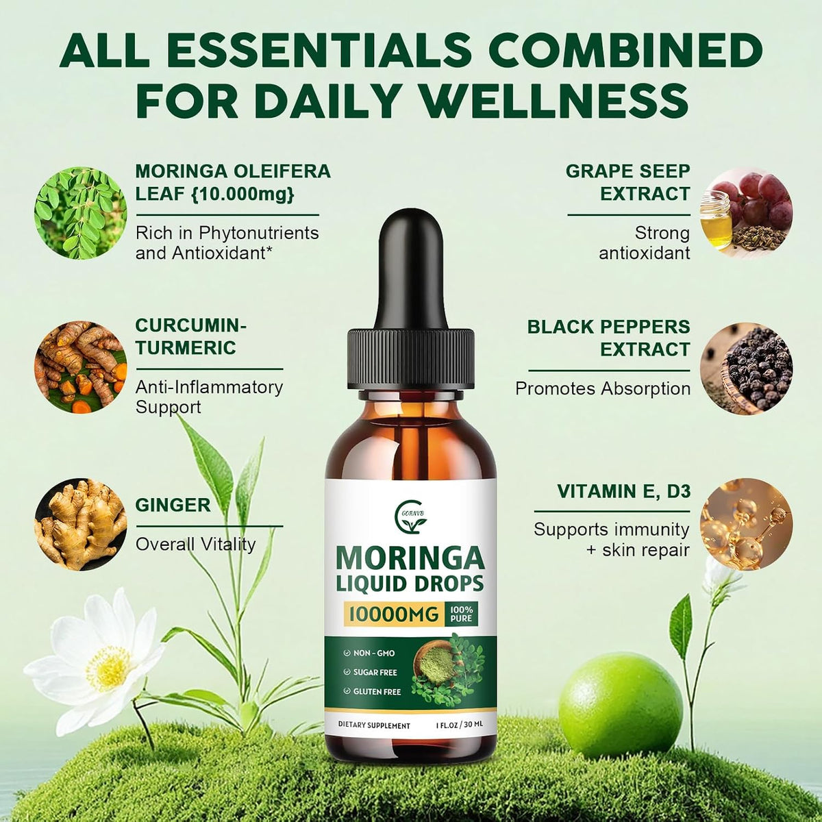 (2 Pack) Organic Moringa Liquid Drops, Moringa Supplement with Turmeric, Black Pepper, Grape Seed Extract, Pure Moringa Oleifera Leaf Extract for Skin, Gut, Immune Support, More Potency Than Powder