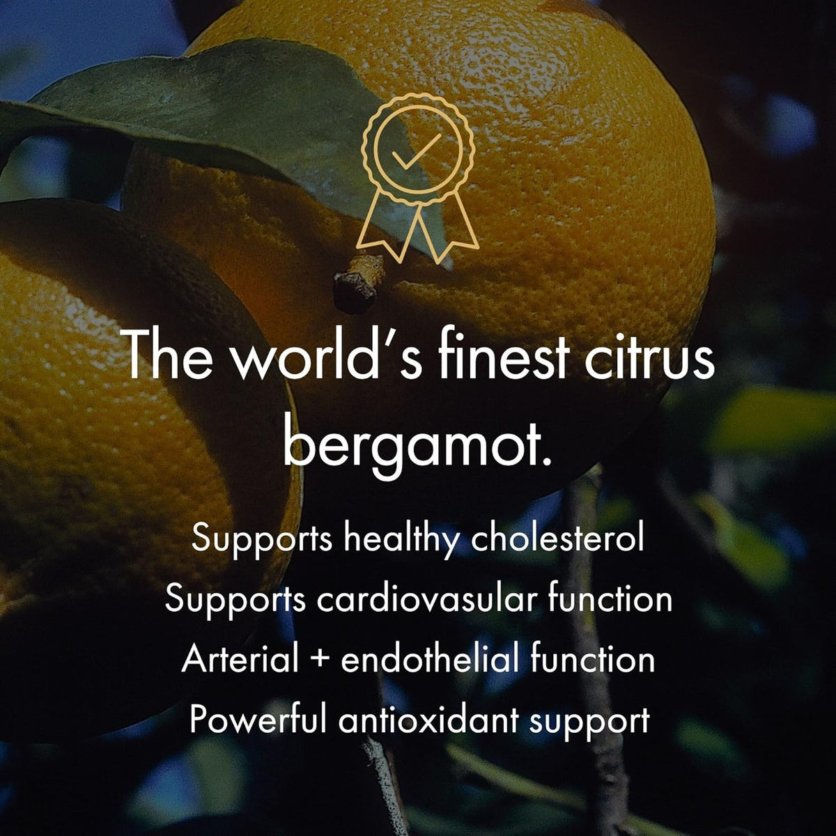 NAOMI Bergamot 1000mg Astaxanthin and CoQ10