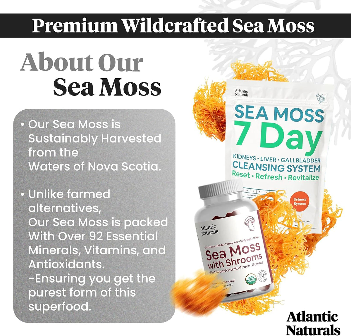 Atlantic Naturals Sea Moss Superfood Bundle - Sea Moss with Shrooms Gummies & 7-Day Kidney, Liver & Gallbladder Cleanse - Defense, Focus & Detox Support - Lion's Mane, Reishi, Dandelion Root & More