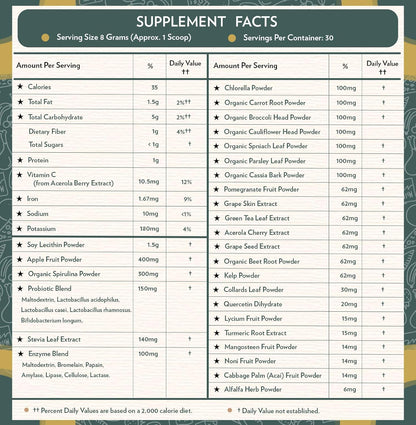 TERRA ORIGIN Superfoods Greens Blend | Organic Vegetable Supplement with Tumeric, Milk Thistle, Green Tea, Chlorella | Non-GMO, Gluten-Free, Vegan | Coffee | 30 Servings
