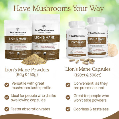 Real Mushrooms Vitamin D2, Zinc, Chaga, Reishi (120ct) and Lion's Mane (120ct) Bundle - Immunity and Cognitive Support, Chelated Zinc for Improved Absorption - Vegan, Gluten Free, Non-GMO