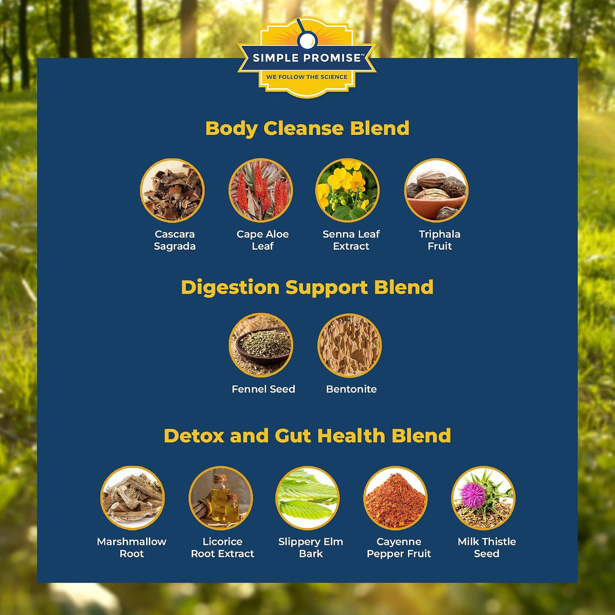 BellyFlush and Consti-Slim Bundle - Gut Support - Bentonite Clay, Psyllium | Dual Digestive Formula, For Comfortable Regularity, With Psyllium Husk and Milk Thistle, Two of Each Daily