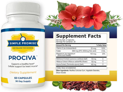 Prociva - Arjuna Bark Extract Supplement - Healthy Blood Pressure Support | Ayurvedic Heart Formula, Circulation and Rhythm Support, Folic Acid and Magnesium, Simple Once-Daily Routine, Non-GMO