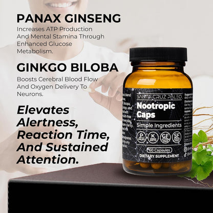 Santa Cruz Paleo Nootropic Capsules – Lions Mane, Alpha GPC, Panax Ginseng & Ginkgo Biloba for Focus, Memory, Mental Clarity & Energy – Keto, Paleo, Gluten Free Brain Supplement, 60 Caps