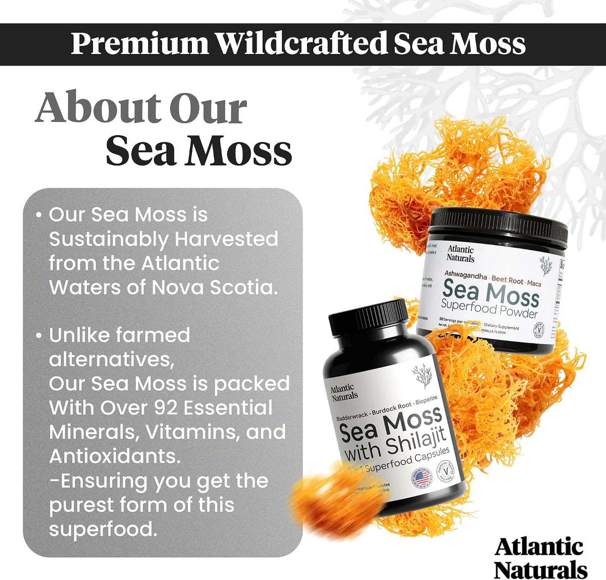 Atlantic Naturals Sea Moss Superfood Bundle - Sea Moss with Shilajit 5-in-1 Capsules & Sea Moss Powder with Ashwagandha, Beet Root & Maca Root - Enhanced Vitality, Skin & Athletic Support 60 ct & 150g