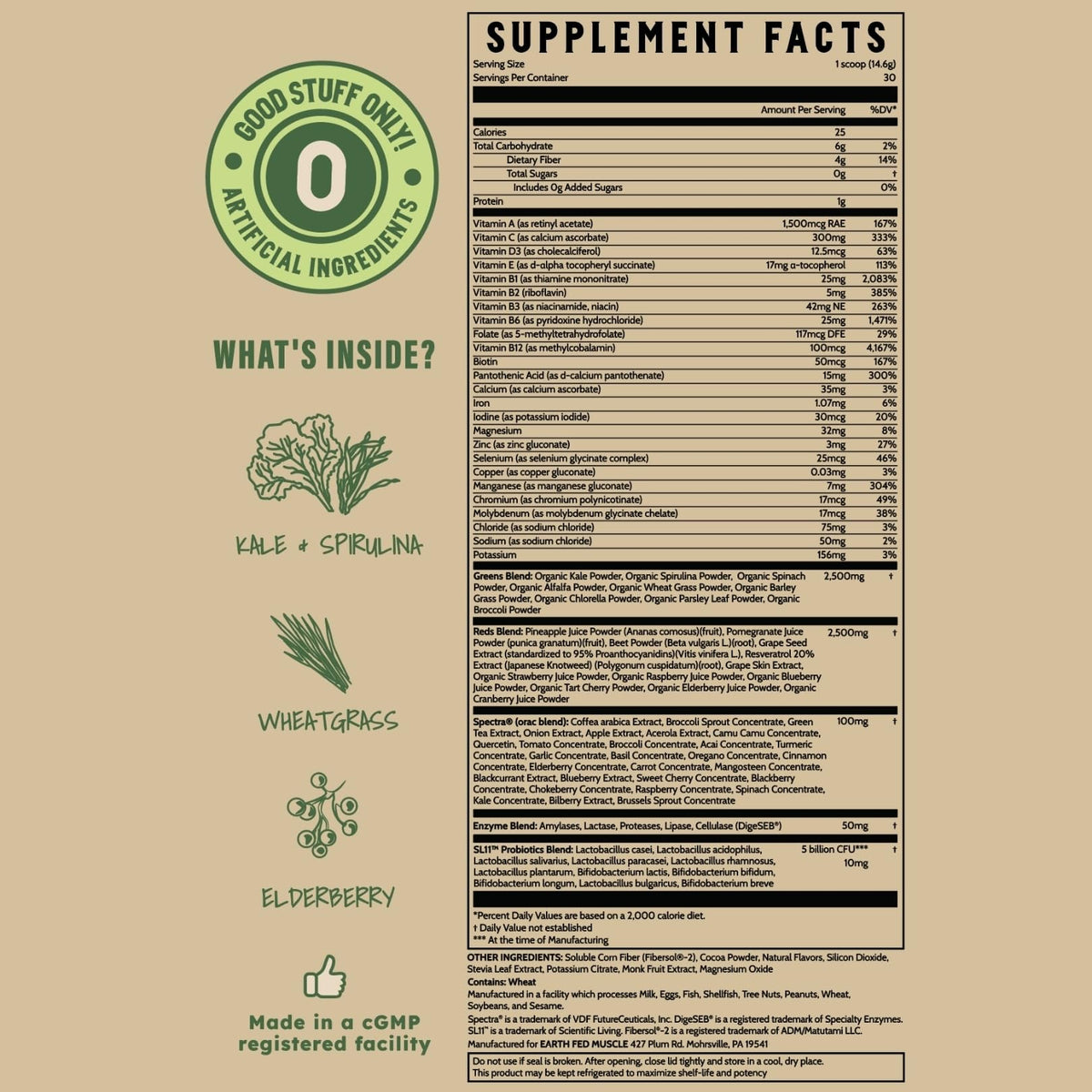 Earth Fed Muscle Greens and Reds Superfoods Blend, Piña Colada – Kale, Spirulina, Wheatgrass & Elderberry – Antioxidant Support, Vitamins & Probiotics – No Artificial Ingredients – 30 Servings | Kale, Spirulina, Wheatgrass & Elderberry, Antioxidant Suppor