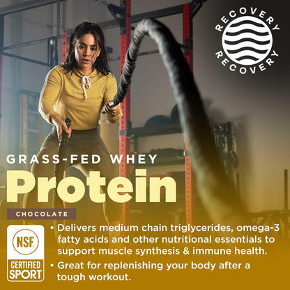 Gnarly Nutrition Gnarly Whey Grass-Fed Protein Supplement, Chocolate (32.0oz) Preworkout Mango (14.82oz)