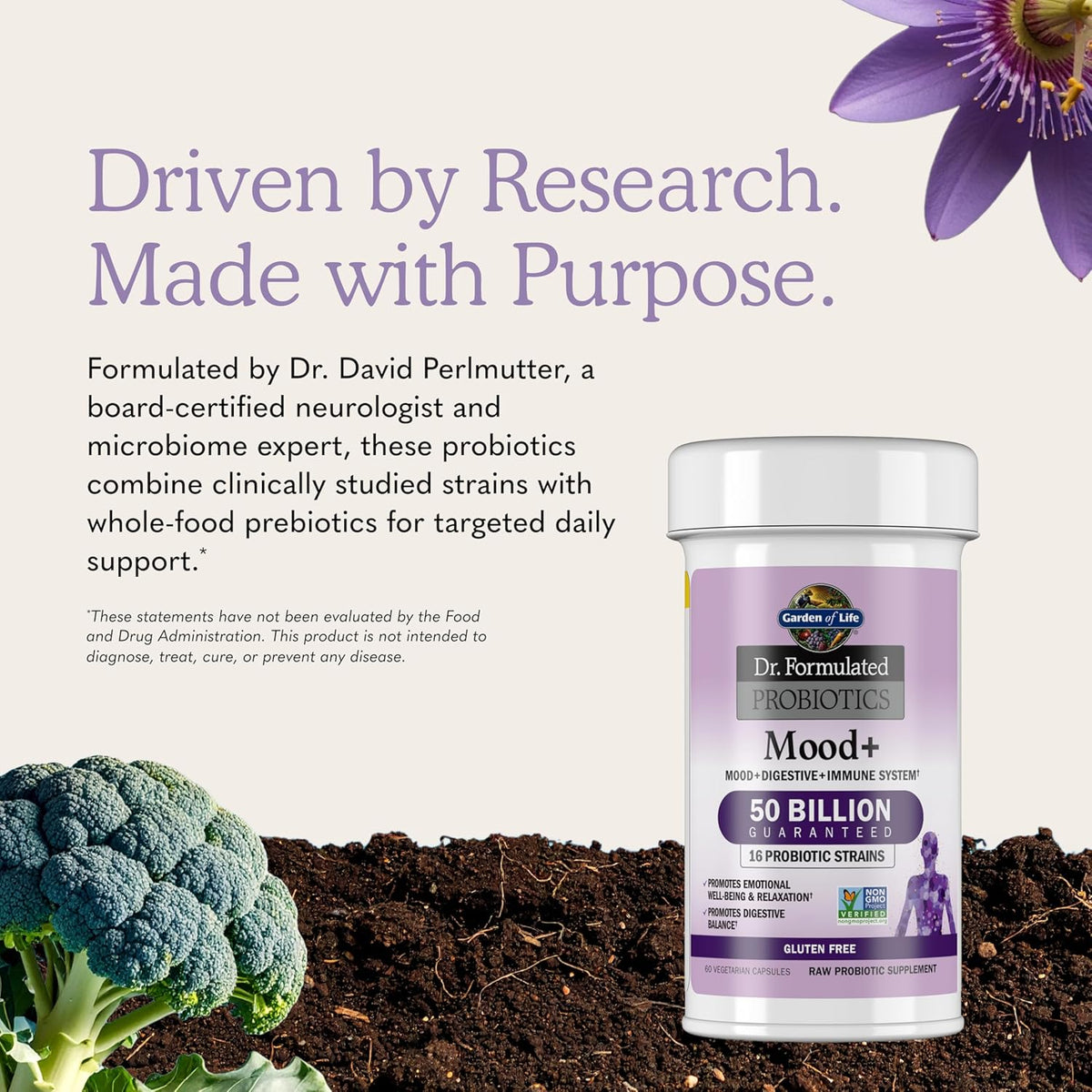 Garden of Life Probiotics Mood+ Dr Formulated Acidophilus Probiotic Supplement - Promotes Emotional Well-Being, Relaxation and Digestive Balance - Ashwagandha for Stress Management, 60 Veggie Caps