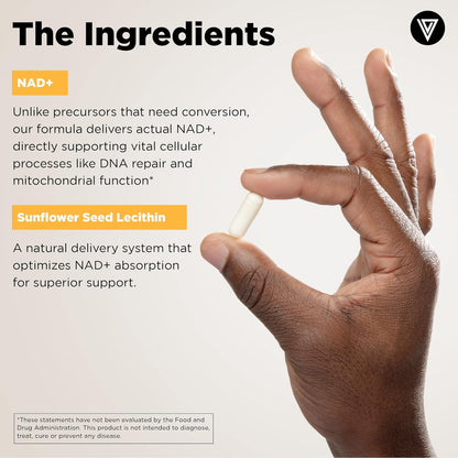 Vital Vitamins Women's Multivitamin Complex + NAD+ Supplement