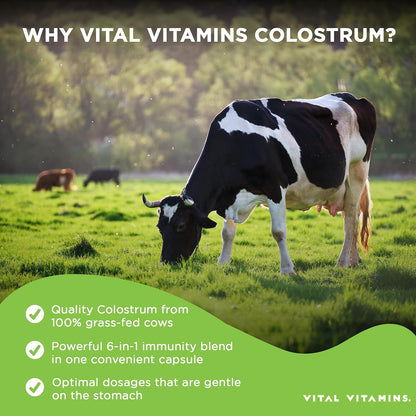 Vital Vitamins Multi Collagen Peptides Powder + Colostrum Capsules with Vitamin C, Zinc