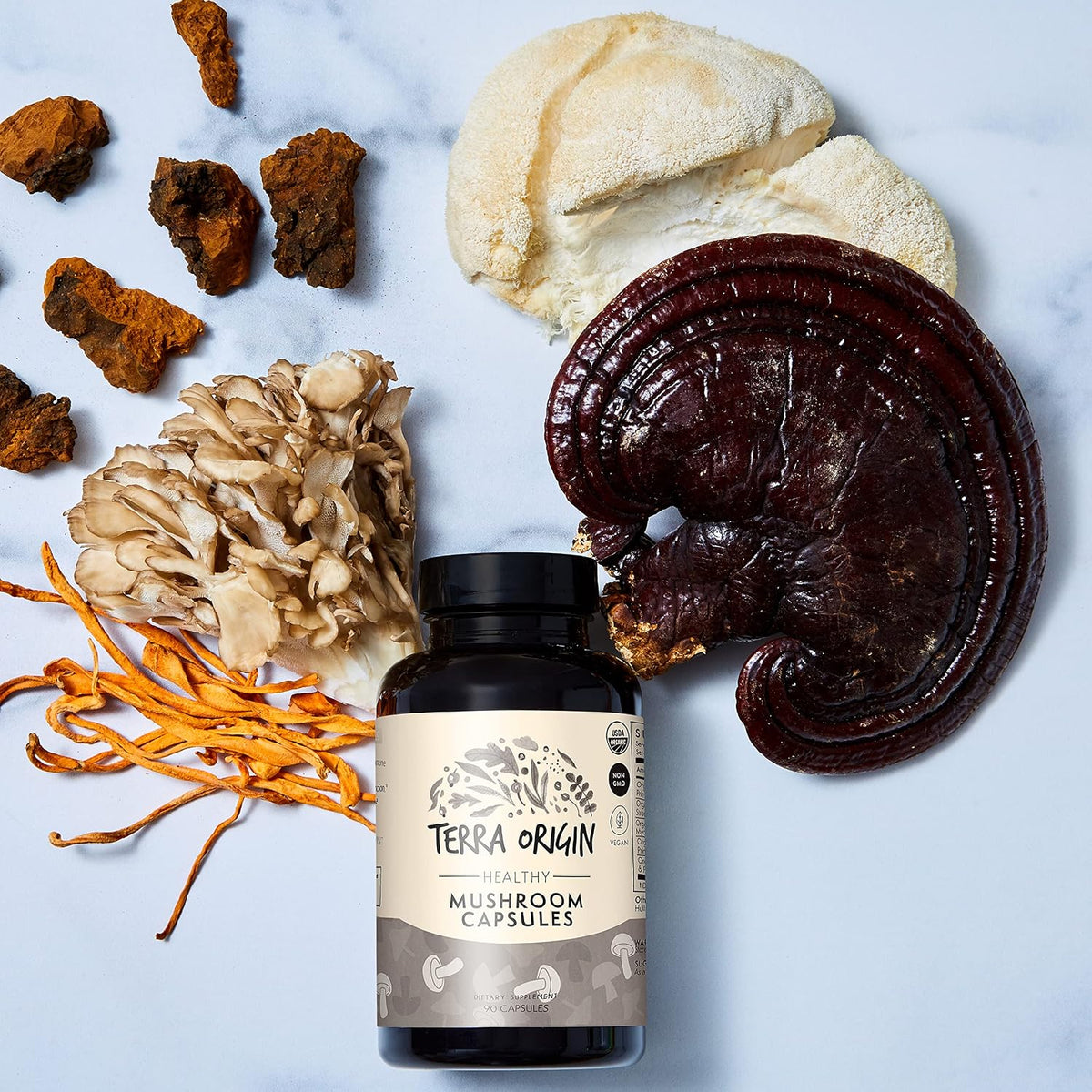 TERRA ORIGIN Healthy Mushroom Complex Supplement | 90 Capsules | Reishi, Lions Mane, Changa, Cordyceps, Maitake | Immune & Nootropic Brain Support | Certified USDA Organic, Non GMO, Vegan