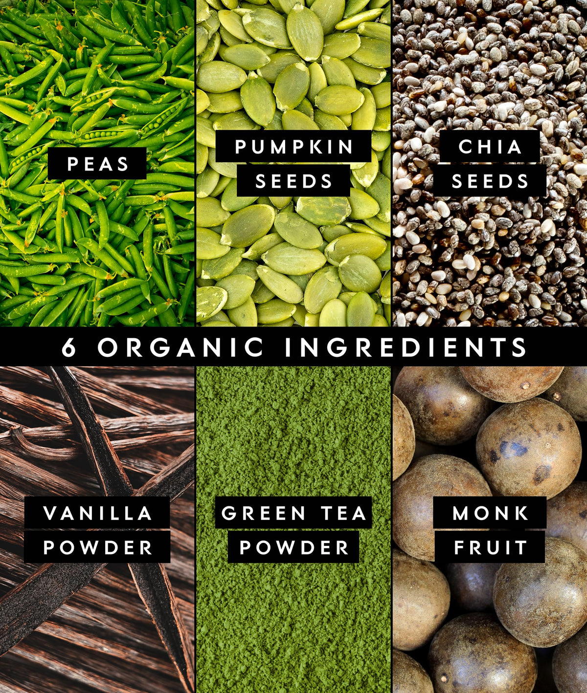 Truvani Organic Plant Based Protein Powder | Vanilla | 1 Serving | Vegan | 20g Pea Protein | Keto | Gluten & Dairy Free | Low Carb | No Added Sugar