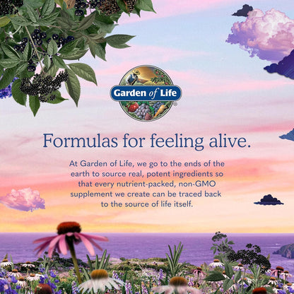 Garden of Life Probiotics Mood+ Dr Formulated Acidophilus Probiotic Supplement - Promotes Emotional Well-Being, Relaxation and Digestive Balance - Ashwagandha for Stress Management, 60 Veggie Caps