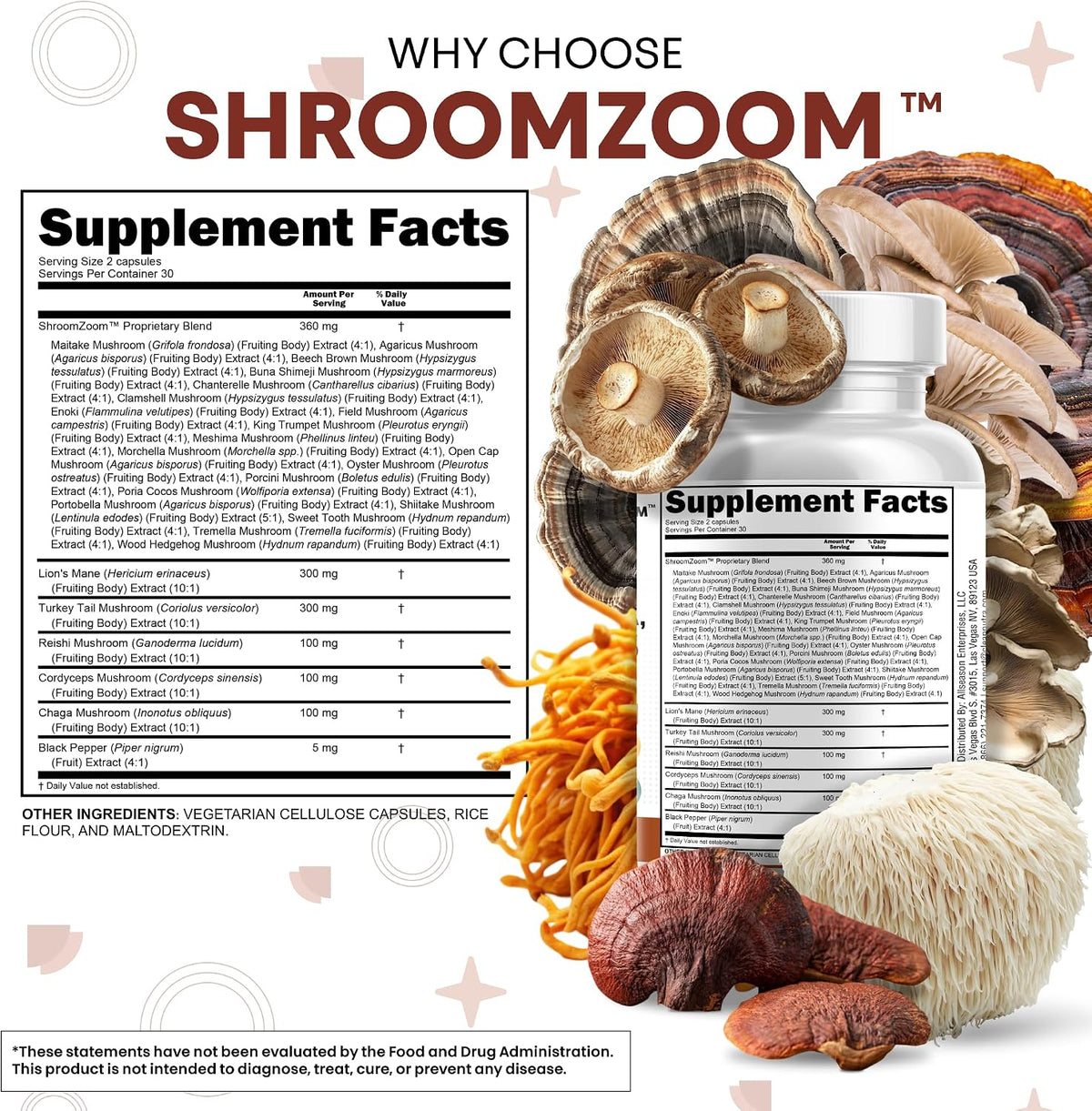 Clean Nutraceuticals Lions Mane 20in1 Mushroom Supplement with Turkey Tail Reishi Cordyceps Chaga Maitake Meshima Poria Cocos Shiitake Oyster Porcini Enoki - 1 Pack