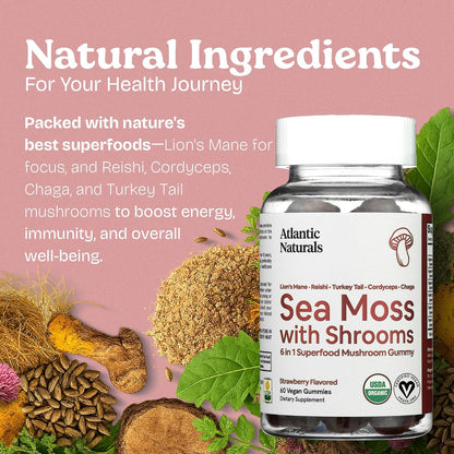 Atlantic Naturals Sea Moss Gummies with Lions Mane, Reishi, Cordyceps, Chaga & Turkey Tail Mushrooms – Irish Sea Moss Gel Alternative – Immunity, Energy & Focus for Adults – 60 Gummies