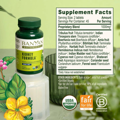 Banyan Botanicals Organic Kidney Formula–Urinary Tract Support & Detox Supplement–Gokshura & Punarnava for Fluid Balance & Systemic Cleansing–Cooling Genitourinary Tonic-90 Tablets-USDA Organic - PrimeBioHealth - canada supplements