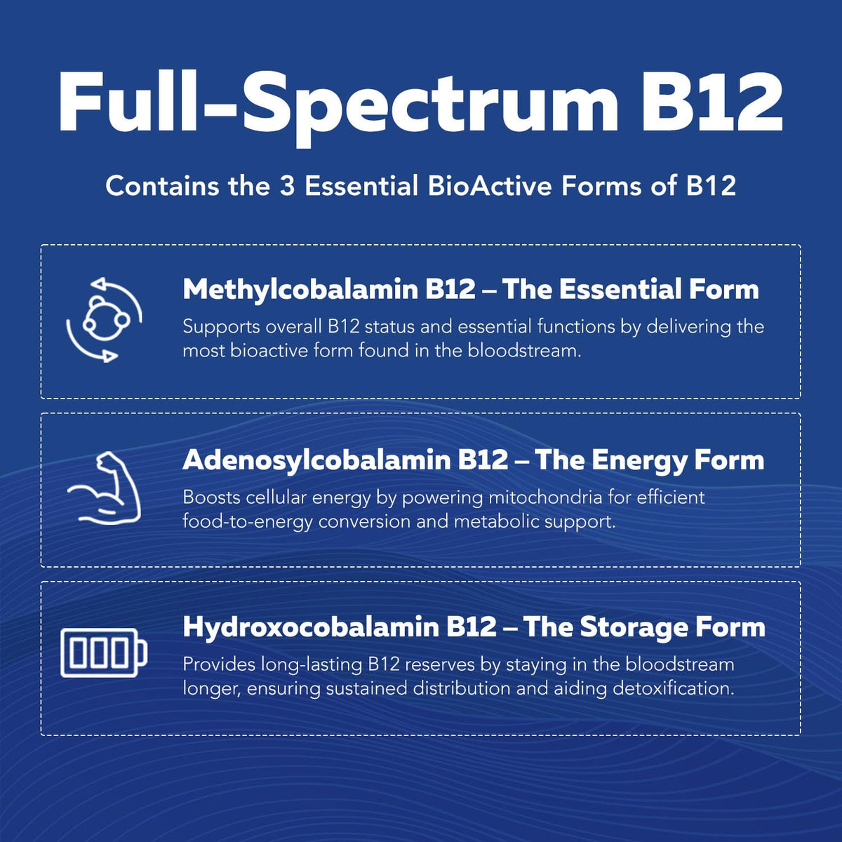 BioActive Vitamin B Complex - Blood Stream Ready, Methylated B Complex - Featuring Methylfolate, 3 BioActive Forms of B12, BenfoPure® B1 & Pantesin® B5 - 12 B Vitamins in Clinical Doses - 60 Servings - PrimeBioHealth - canada supplements