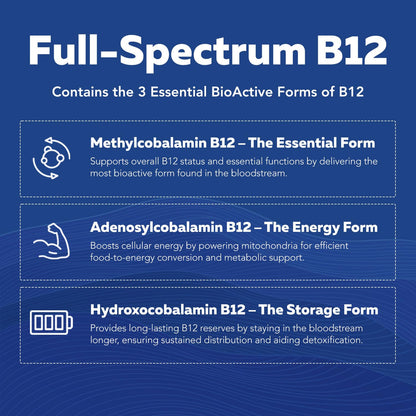 BioActive Vitamin B Complex - Blood Stream Ready, Methylated B Complex - Featuring Methylfolate, 3 BioActive Forms of B12, BenfoPure® B1 & Pantesin® B5 - 12 B Vitamins in Clinical Doses - 60 Servings - PrimeBioHealth - canada supplements