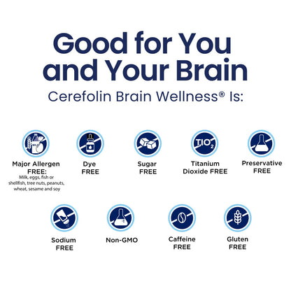 Cerefolin Brain Wellness, Targeted Nutrition for Cognitive Support, Improves Memory, Focus & Concentration, L-Methylfolate, NAC, B12 - PrimeBioHealth - canada supplements