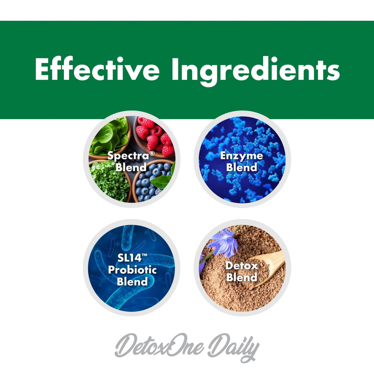 DetoxOne Daily Gut Health Powder* | Supports Normal/Healthy Digestive Function*| Promotes Detoxification*| Boost Energy & Improves Nutrient Absorption* - PrimeBioHealth - canada supplements