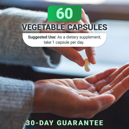 Dr. Berg Natural Vitamin B1 B6 B12 Complex - Allithiamine Vitamin B1 Supplement with 8 Essential Vitamin B Complex for Men & Women Including Thiamin - PrimeBioHealth - canada supplements