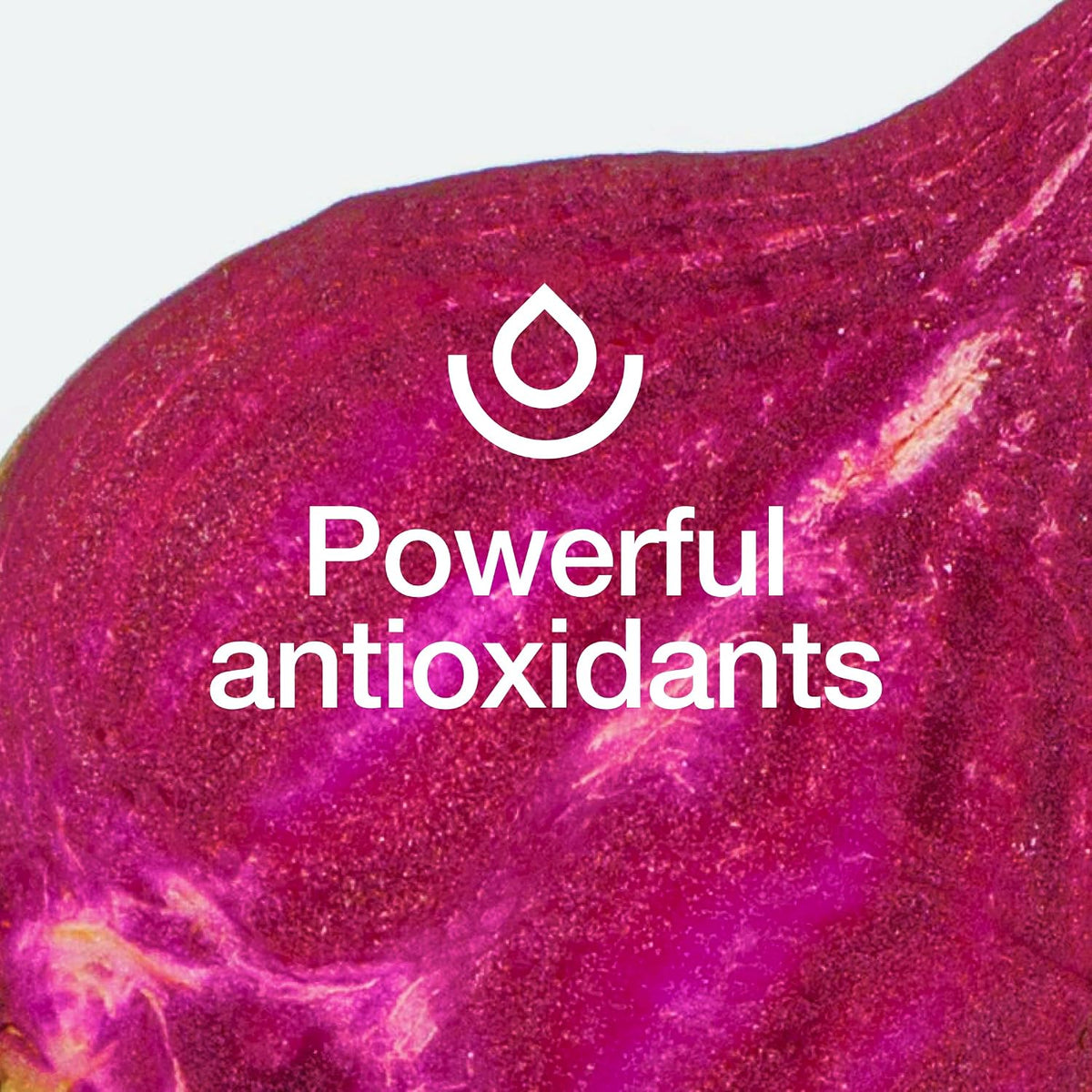 Fresh Nutrition Organic Beet Root Capsules - 2400mg Potent Dosage - Antioxidant Support - Vegan, Non GMO, Gluten-Free - 90 Capsules - PrimeBioHealth - canada supplements
