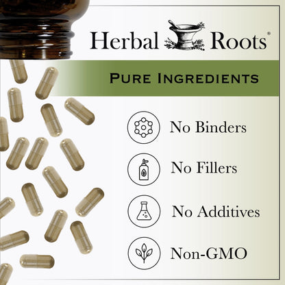 Herbal Roots Organic Ginkgo Biloba Made with Pure Organic Ginkgo Leaf and Extract - 60 Vegan Capsules - PrimeBioHealth - canada supplements