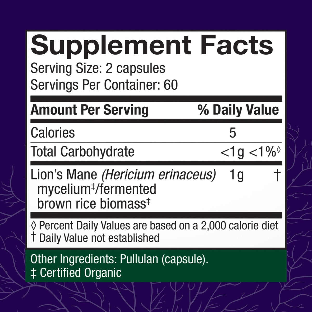 Host Defense Mushrooms Lion's Mane - Supplement Capsules for Brain Health Support - Mushroom Support for Focus & Memory Function - PrimeBioHealth - canada supplements