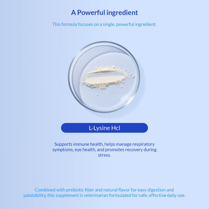 L-Lysine Supplement for Cats 900mg/scoop - Cat Supplement for Sneezing and Runny Nose, Cold, Immune Support, Eye Function - PrimeBioHealth - canada supplements