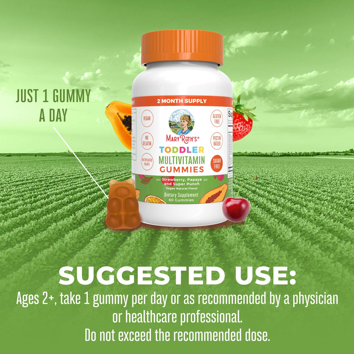 MARYRUTH'S Kids Vitamins | Multi | Sugar Free | 2 Month Supply | Kids Multivitamin Gummies for Ages 2+ | Vegan | Only 1 Gummy a Day | 60 Count - PrimeBioHealth - canada supplements
