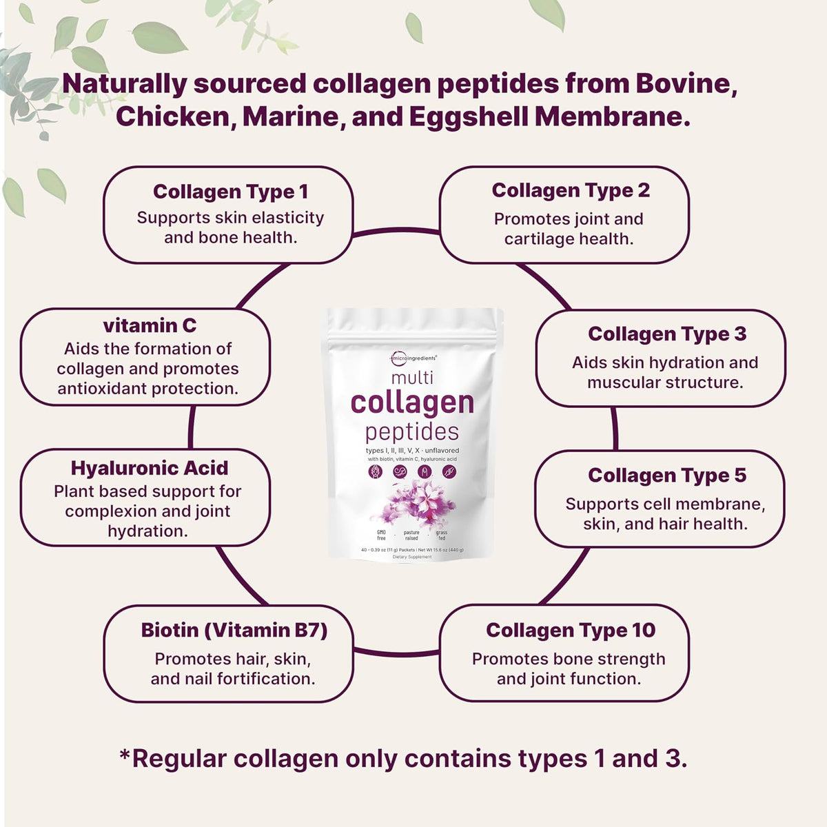 Micro Ingredients Multi Collagen Peptides Powder, 40 Stick Packs | Type I, II, III, V, X + Biotin, Vitamin C & Hyaluronic Acid | Unflavored | Supports Hair, Skin & Joint Health | Keto, Non-GMO - PrimeBioHealth - canada supplements