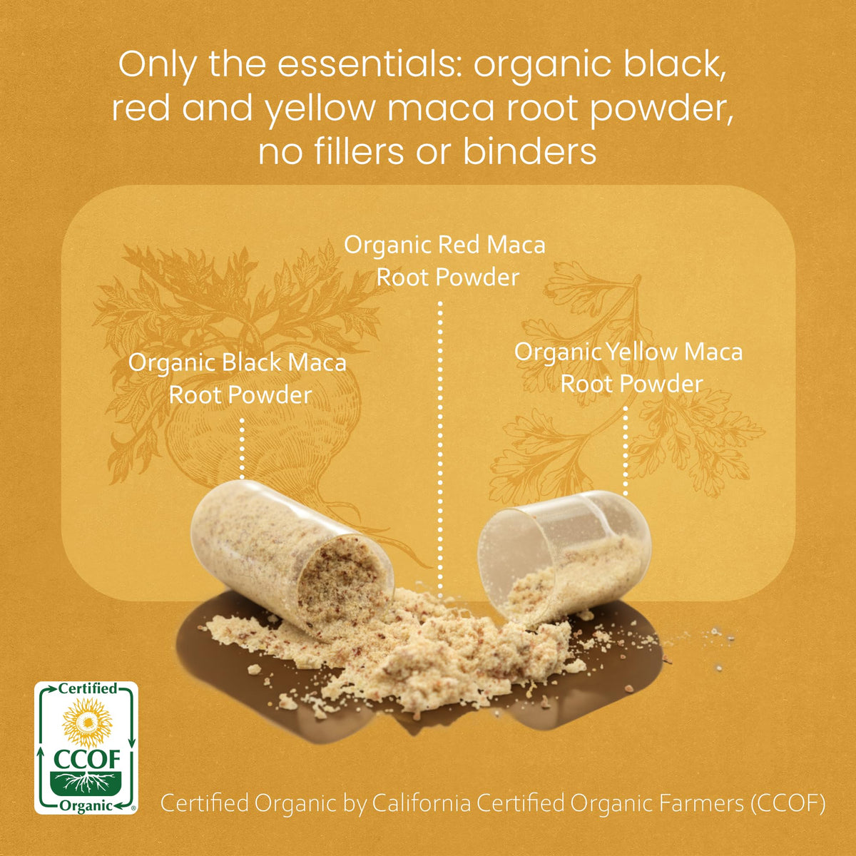 NaturaLife Labs Organic Maca Root – Black, Red & Yellow – 1900 mg per Serving – 150 Capsules – Gelatinized Peruvian Maca - PrimeBioHealth - canada supplements