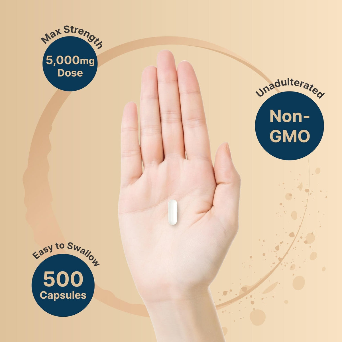 NatureBell Creatine Monohydrate Capsules 5,000mg Per Serving, 500 Count | Micronized, Unflavored Creatine Pills | Pre-Workout & Muscle Strength Support - PrimeBioHealth - canada supplements
