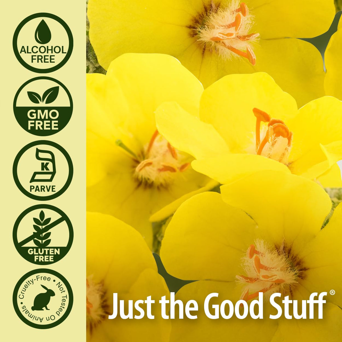 Nature's Answer Mullein Herb - Mullein Leaf Extract for Lungs - Alcohol Free, Non GMO, Made in USA - Supports Respiratory Function & Promotes Healthy Lungs - PrimeBioHealth - canada supplements