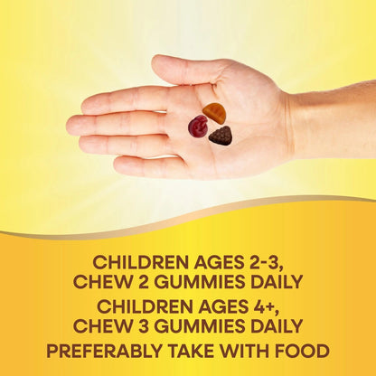 Nature's Way Alive! Children's Premium Gummy Multivitamin, Gluten Free, Made with Pectin, 90 Gummies - PrimeBioHealth - canada supplements