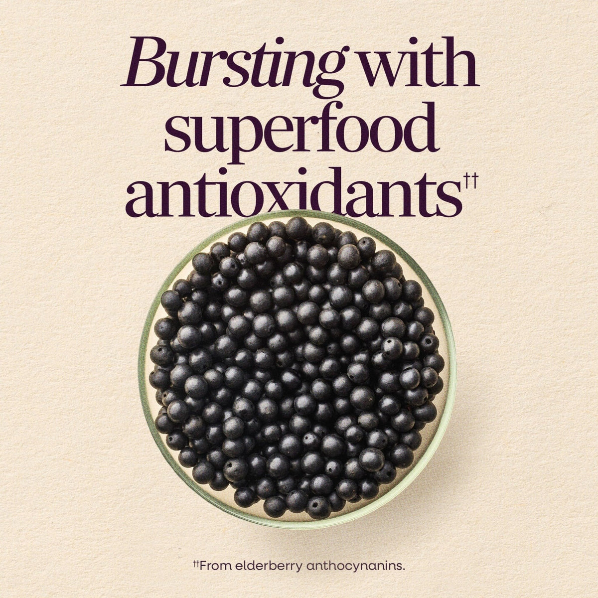 Nature’s Way Sambucus Elderberry Gummies, Immune Support Gummy for Adults & Kids Ages 4+ with Black Elderberry Extract, Vitamin C - PrimeBioHealth - canada supplements