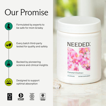 Needed. Prenatal Choline+ Liquid Capsules for Cognitive Development - Choline Supplements For Pregnancy - Aids Baby Brain Development & Supports Healthy Pregnancy - PrimeBioHealth - canada supplements