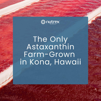 Nutrex Hawaii BioAstin Hawaiian Astaxanthin - 12mg, 90 Softgels - Farm-Direct Premium Antioxidant Supplement to Support Eye, Skin - PrimeBioHealth - canada supplements