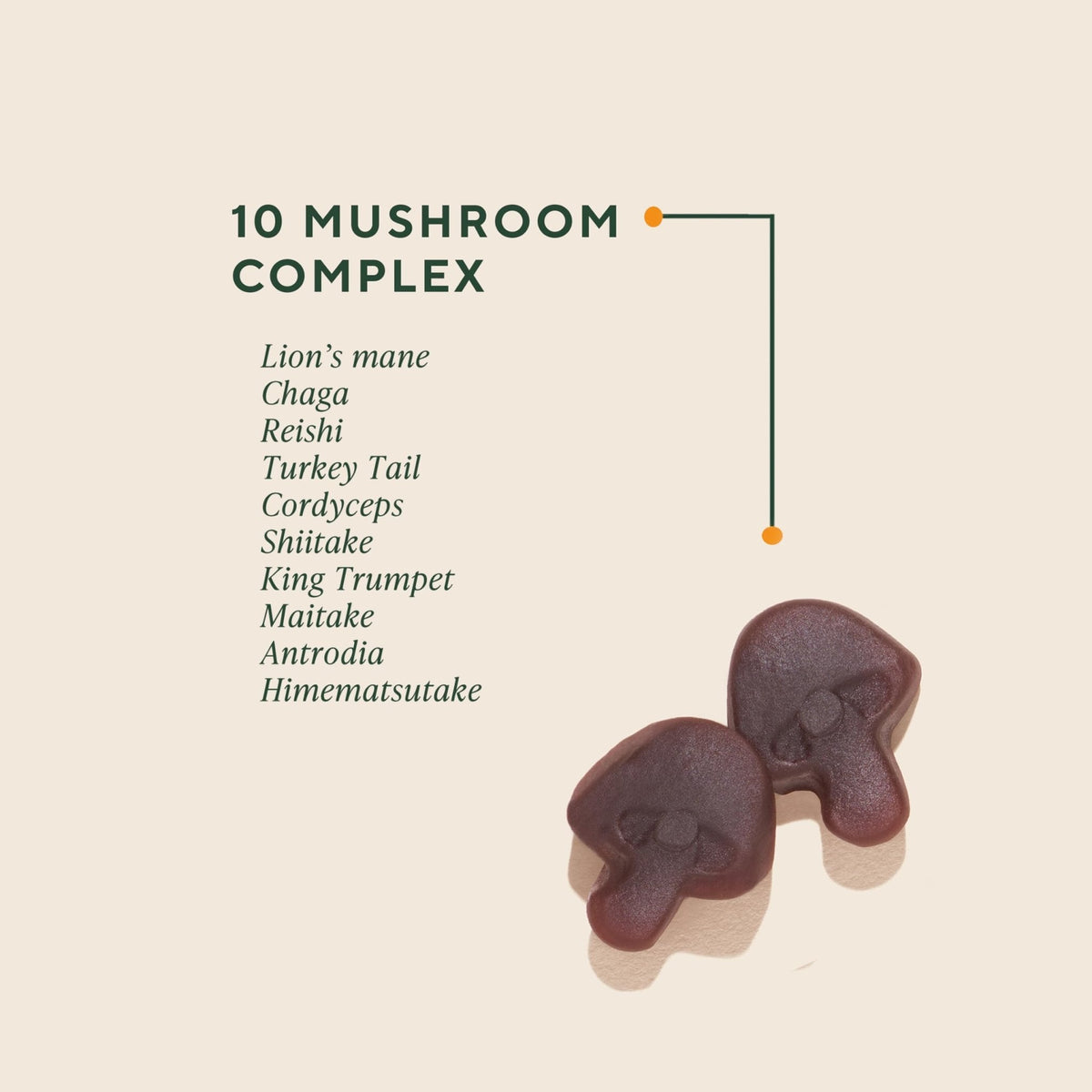 OM MUSHROOM SUPERFOOD Master Blend Mushroom Gummies – Organic 10-Mushroom Complex with Ashwagandha – Supports Immunity, Gut Health & Stress Relief – Mixed Berry Flavor – 28 Servings, 56 Count. - PrimeBioHealth - canada supplements