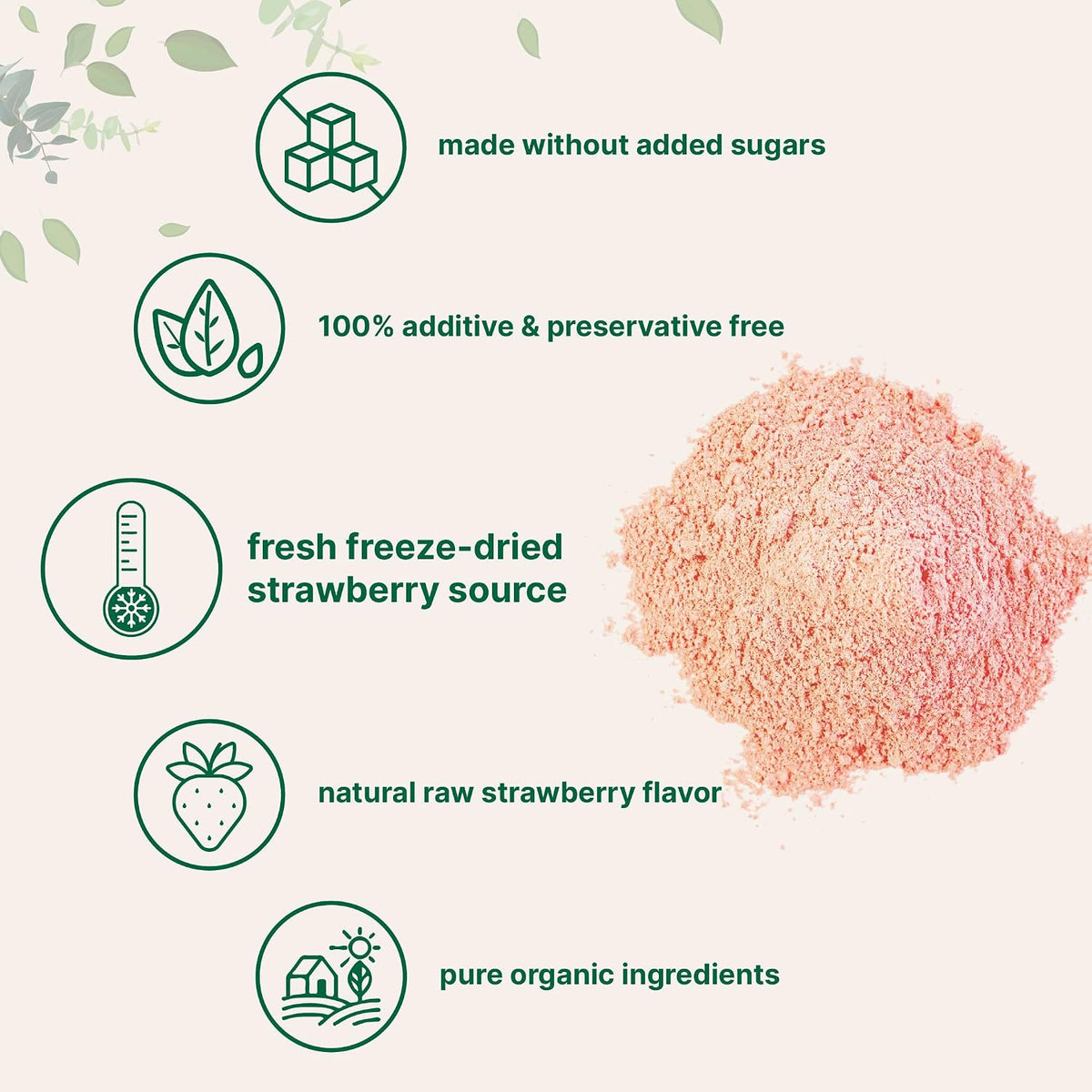 Organic Strawberry Powder, 1 Lb | 100% Natural Fruit Powder | Freeze-Dried Strawberries Source | No Sugar & Additives | Great Flavor for Drinks, Smoothie, & Beverages | Non-GMO & Vegan Friendly - PrimeBioHealth - canada supplements