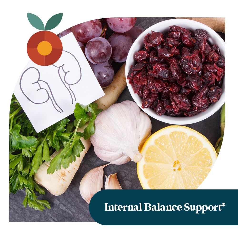 Pattern Wellness Stone Care Complex – Supports Healthy Kidney & Urinary Function – with Chanca Piedra, Chamomile Extract & Boron – 3rd Party Lab Tested – Vegan, Non-GMO - 60 Capsules - PrimeBioHealth - canada supplements